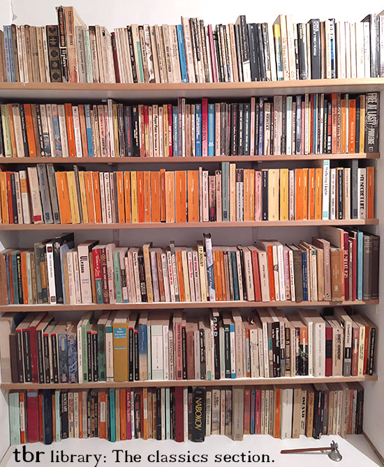 Bookcase. tbr issue 95